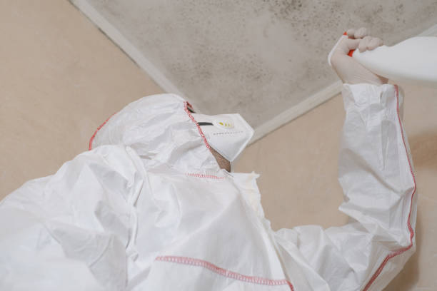 Best Attic Mold Removal  in Thruston, KY