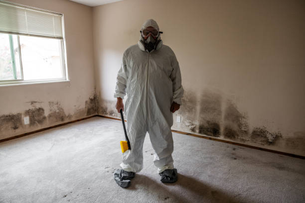 Best Mold Testing  in Thruston, KY